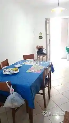 Appartamento in affitto a Somma Vesuviana