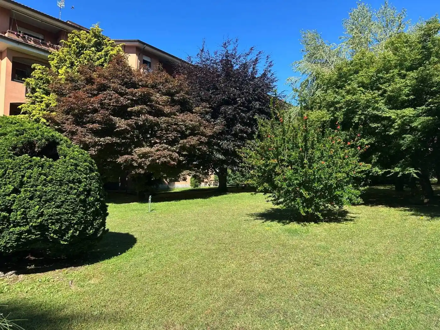 Appartamento in affitto a Arona