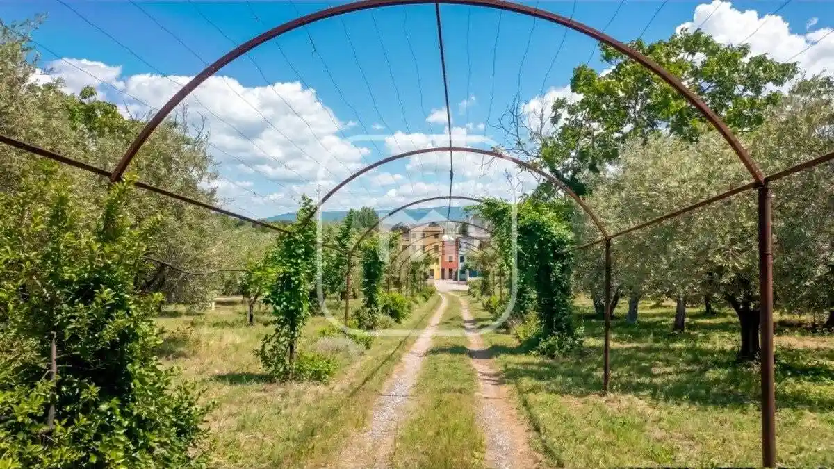 Villa in vendita a Zagarolo