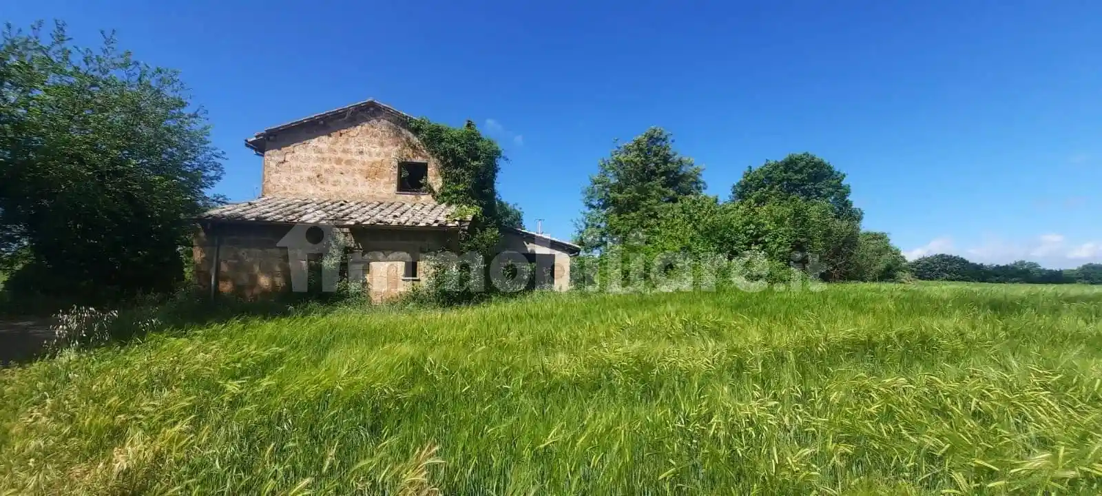 Rustico - Casale in vendita a Lubriano
