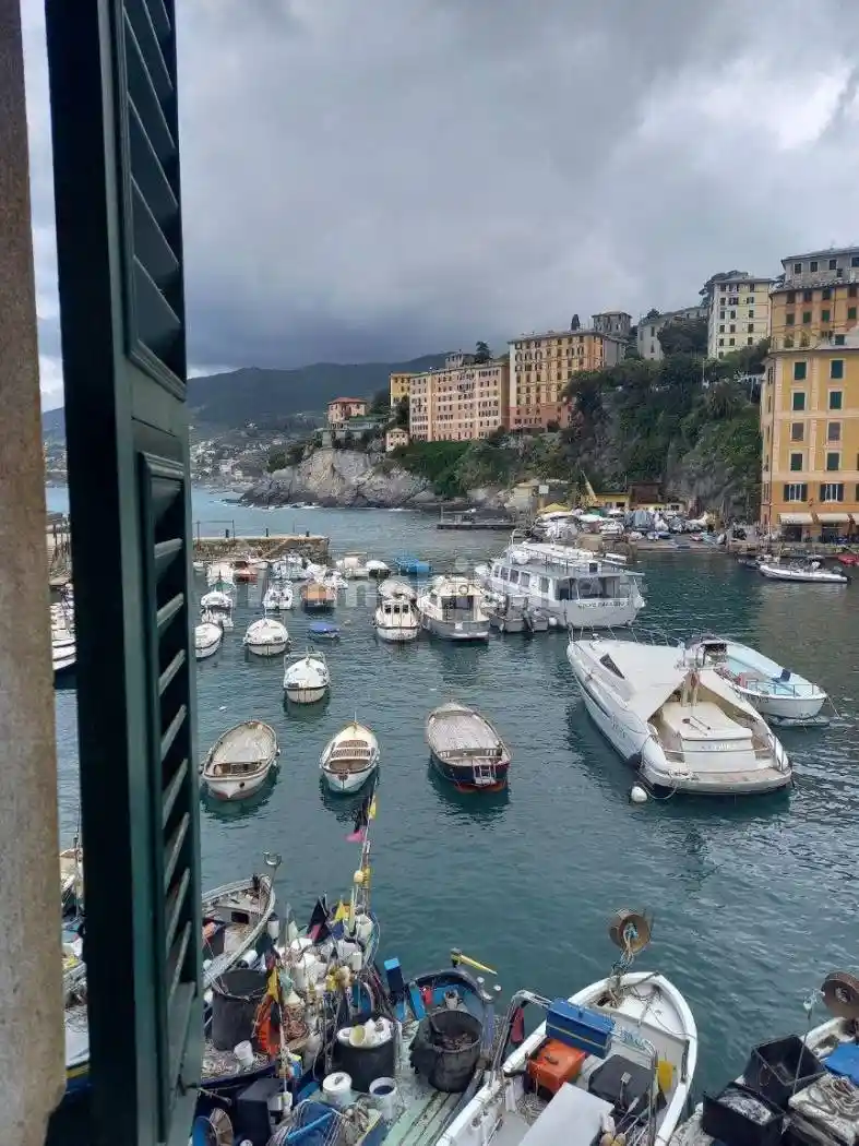 Appartamento in affitto a Camogli