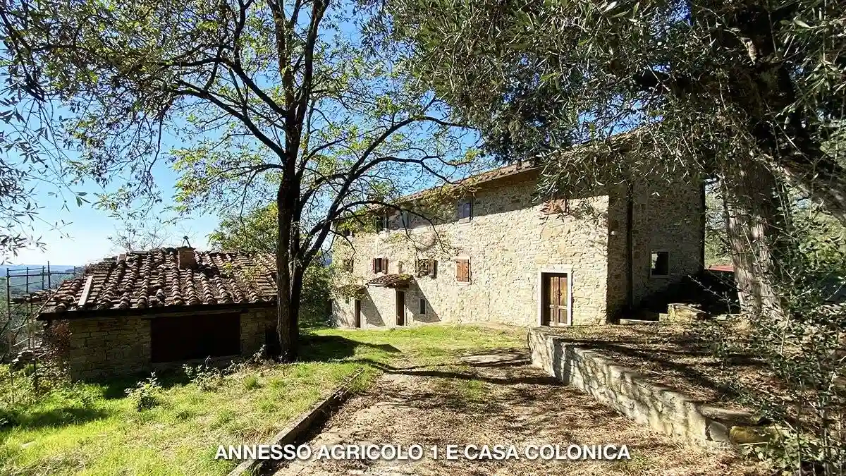 Rustico - Casale - foto 4