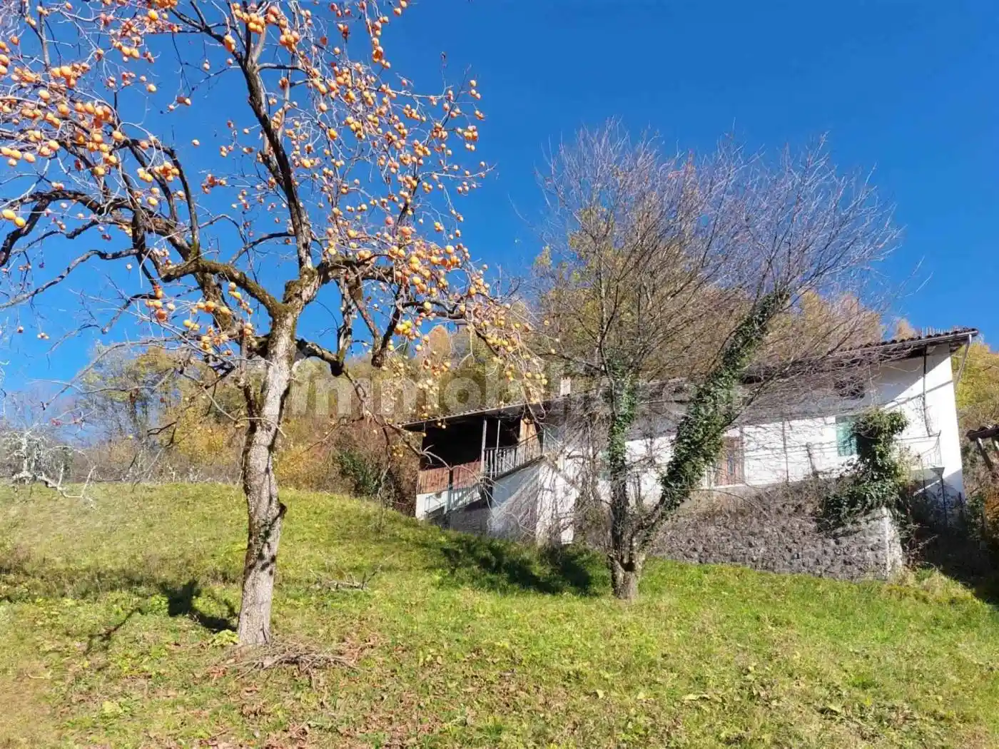 Rustico - Casale in vendita a Ampezzo