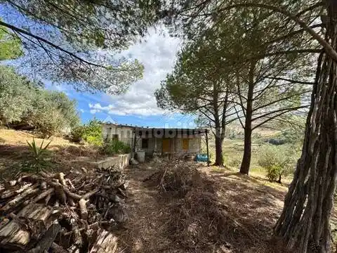 Rustico - Casale in vendita a Caccamo