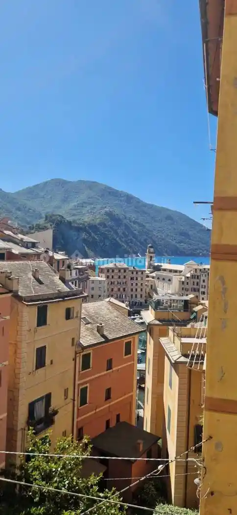 Appartamento in affitto a Camogli