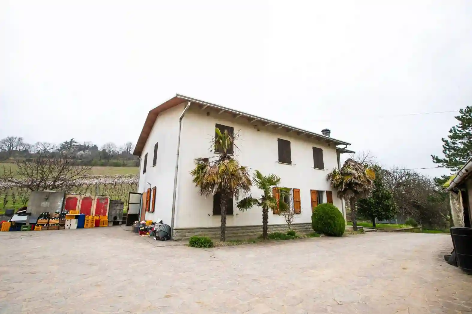 Villa - foto 5