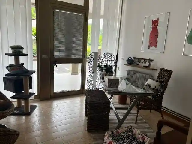 Palazzo - Edificio in vendita a Polcenigo