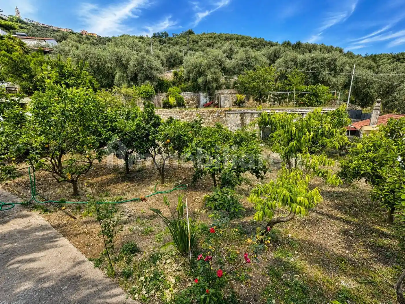 Casa indipendente in vendita a Villa Faraldi