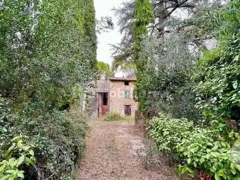 Rustico - Casale in vendita a Cetona