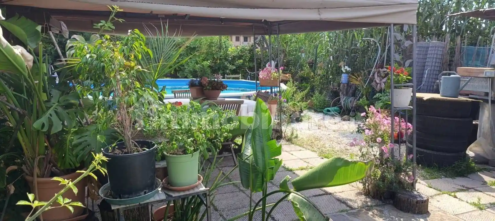 Casa indipendente in vendita a Prato