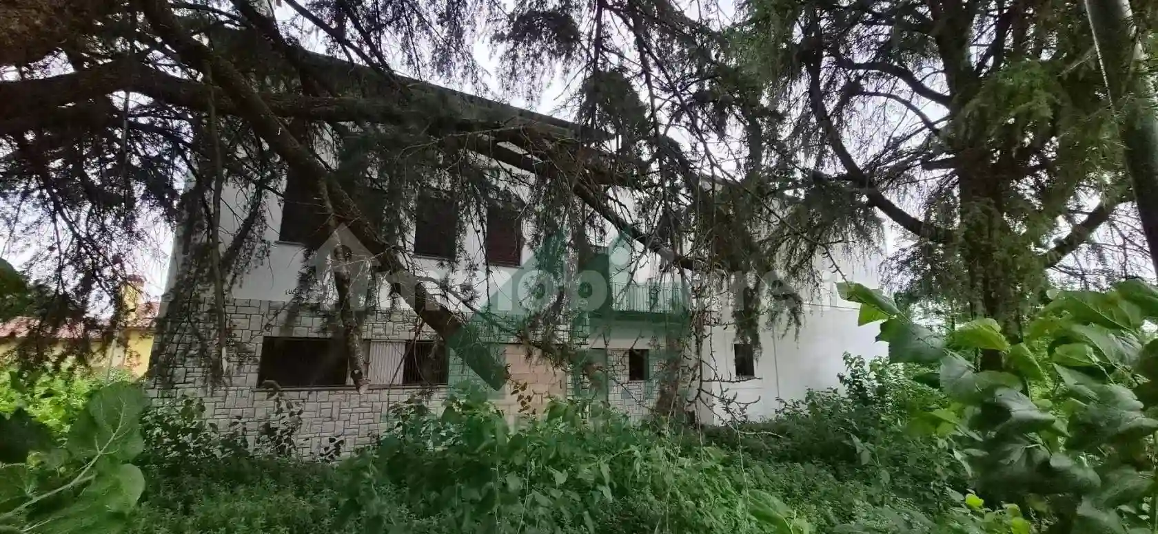 Palazzo - Edificio - foto 2
