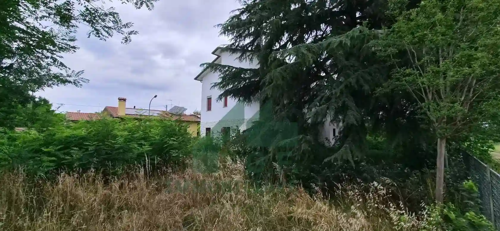 Palazzo - Edificio - foto 5