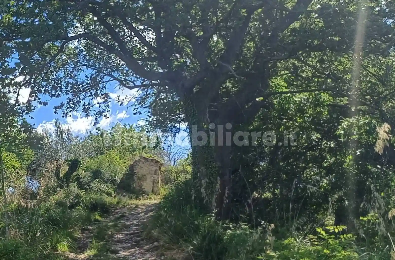 Rustico - Casale in vendita a Massignano