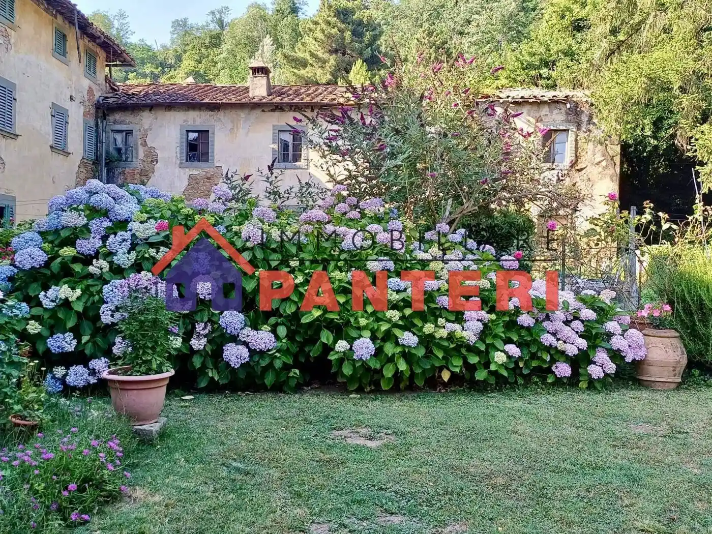Rustico - Casale in vendita a Pescia