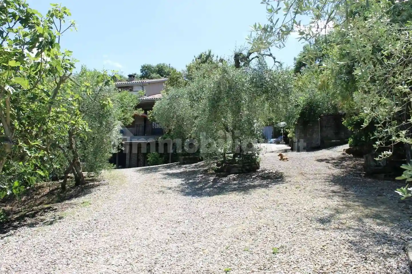 Rustico - Casale - foto 5