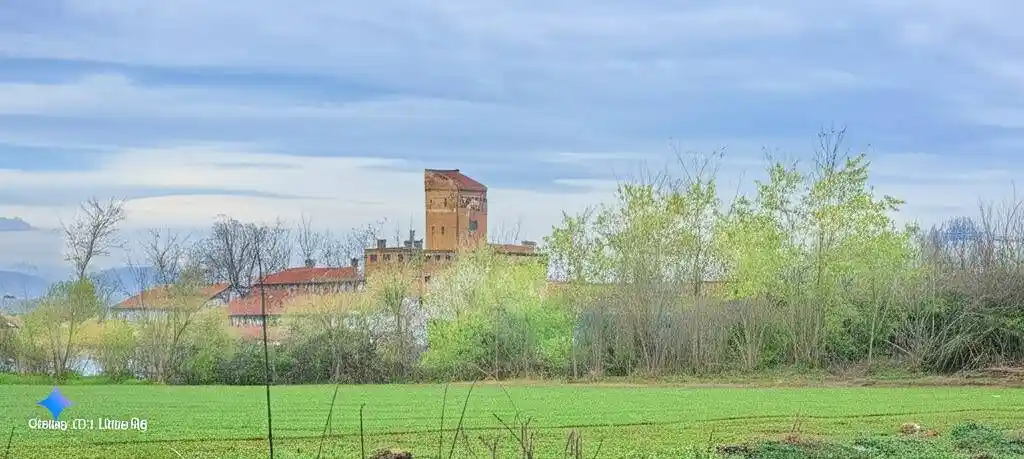 Appartamento in affitto a Chieri
