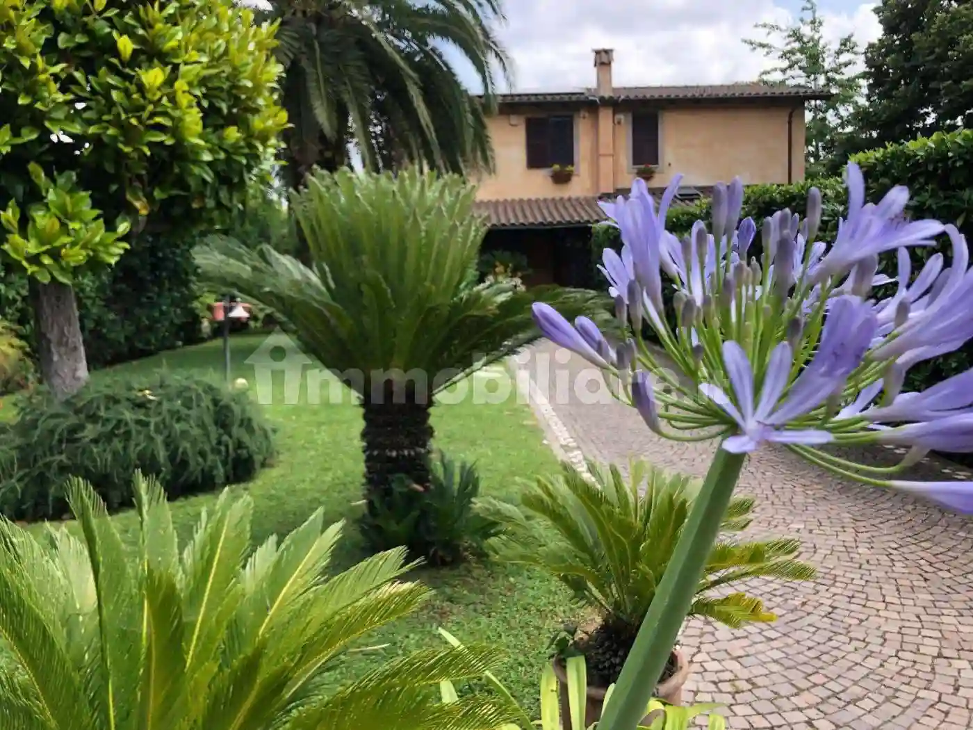 Villa - foto 3