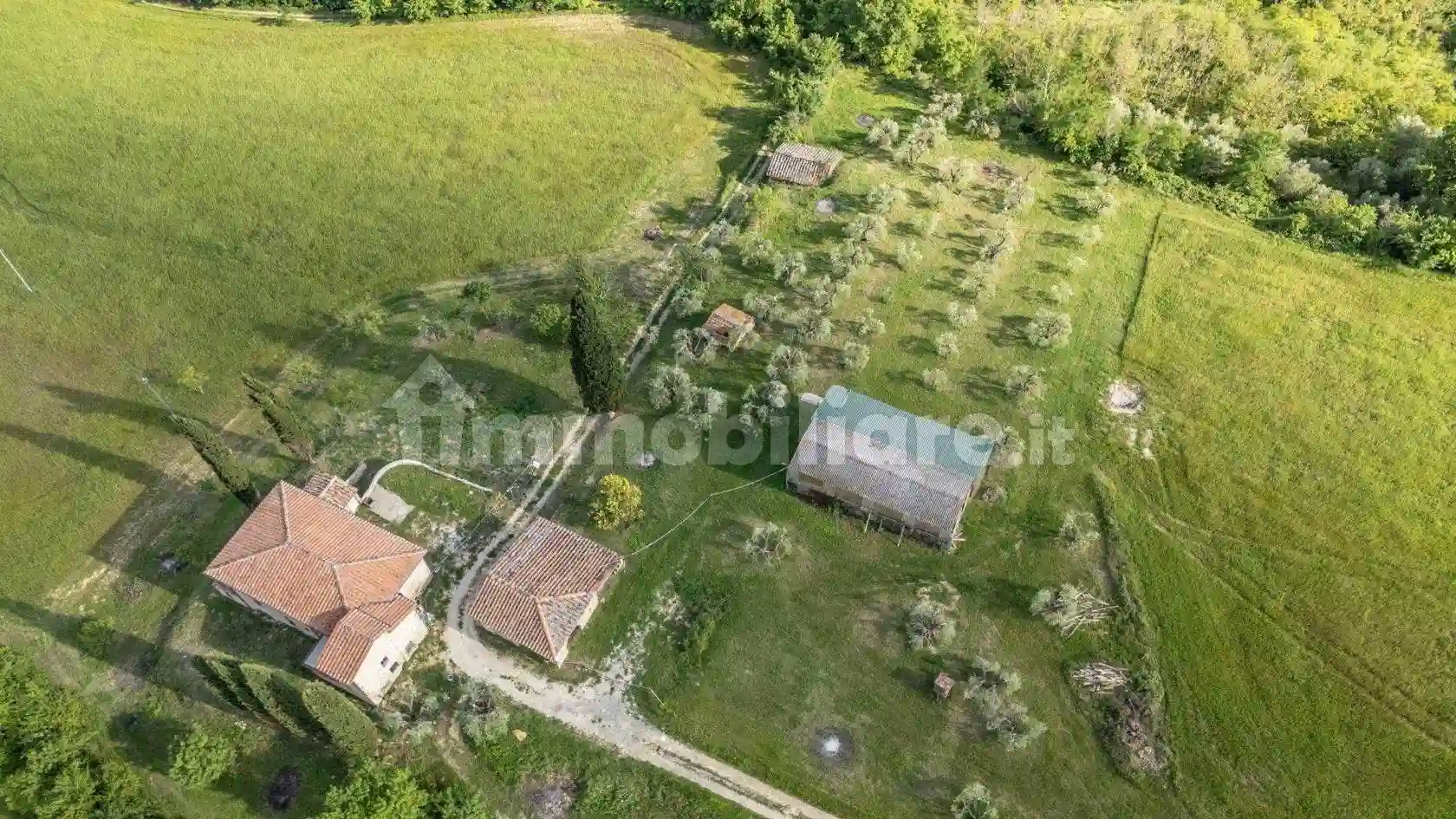 Rustico - Casale - foto 3