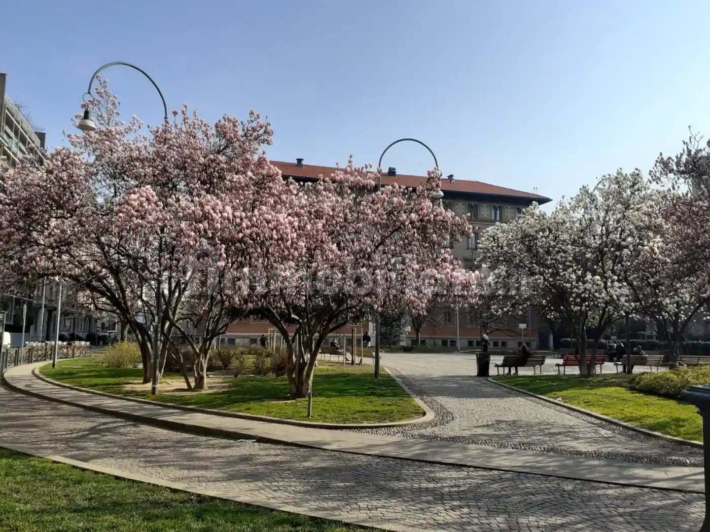 Appartamento in affitto a Milano