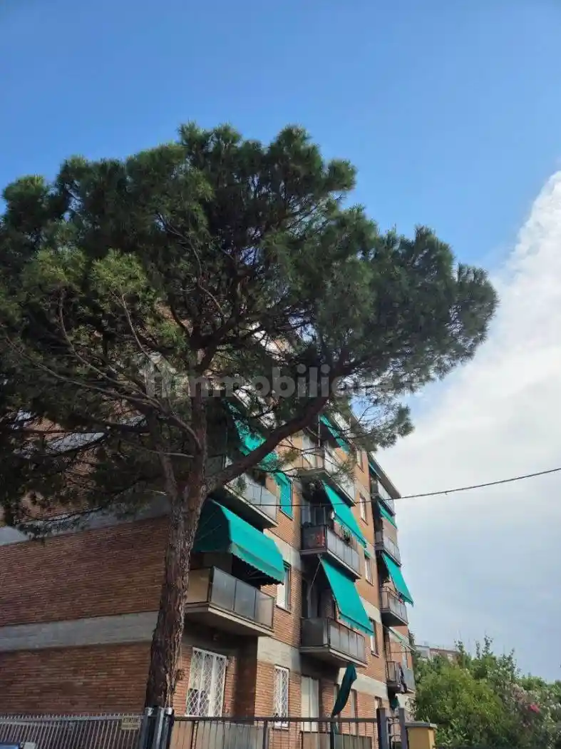 Appartamento in affitto a Bologna