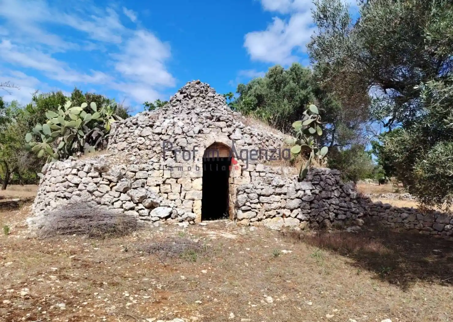 Rustico - Casale in vendita a San Vito dei Normanni