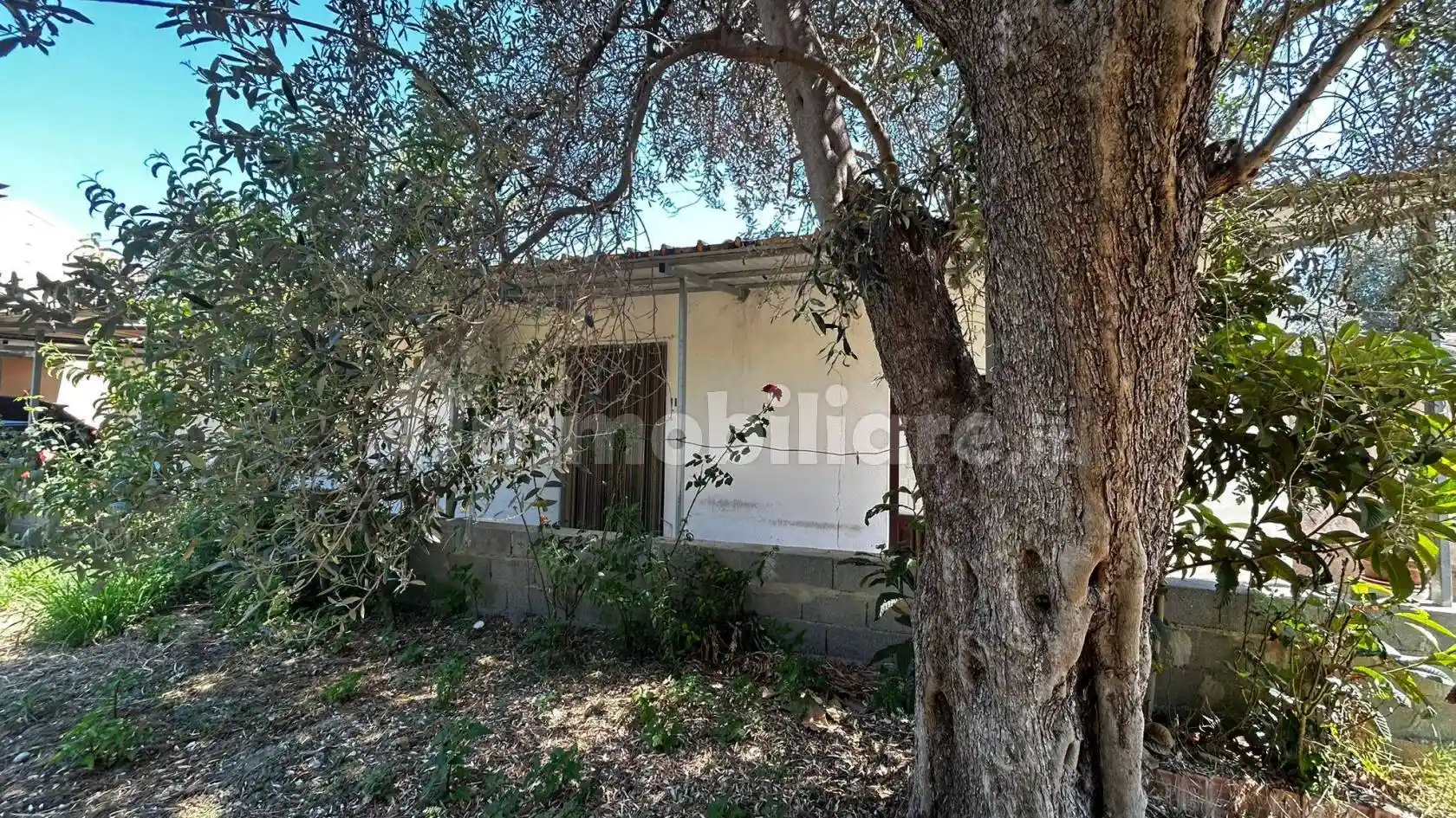 Rustico - Casale in vendita a Ardore