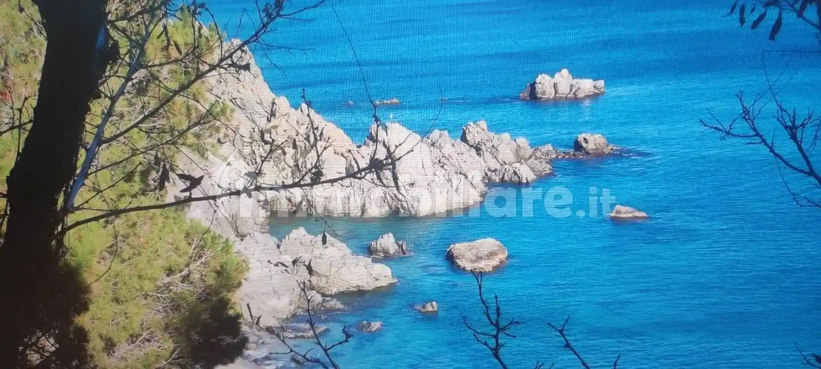 Appartamento in affitto a Stalettì