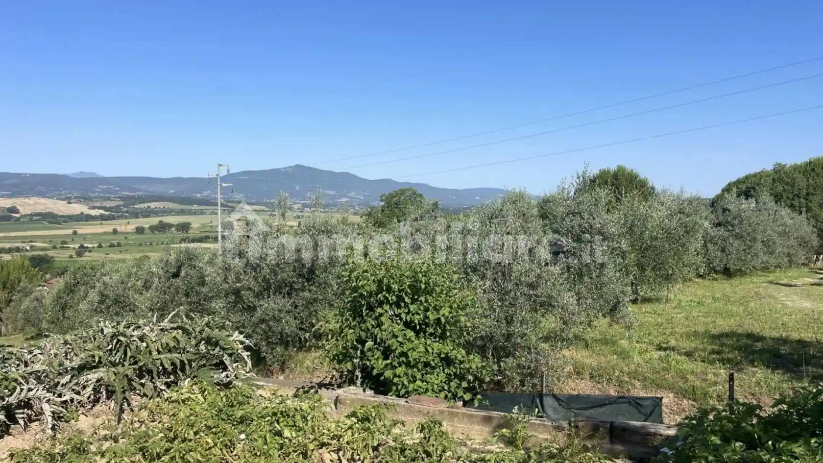 Rustico - Casale in vendita a Monteleone d'Orvieto