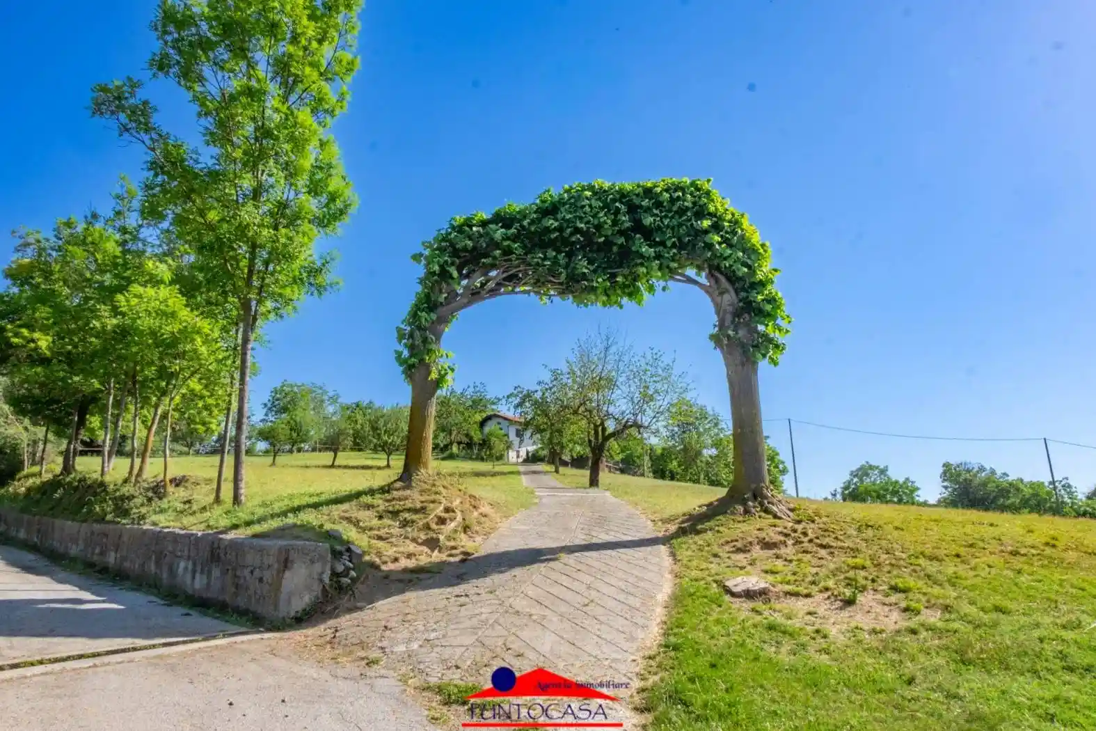 Rustico - Casale in vendita a Dronero