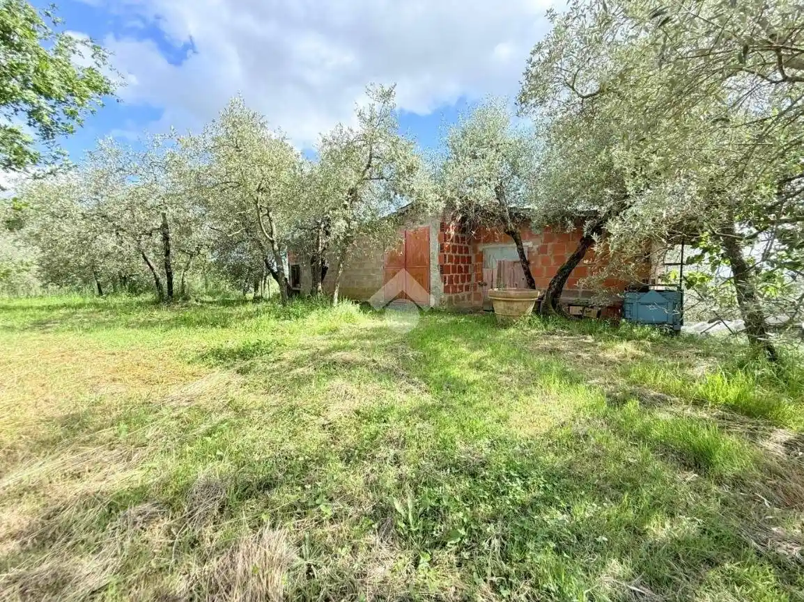 Rustico - Casale in vendita a Terranuova Bracciolini