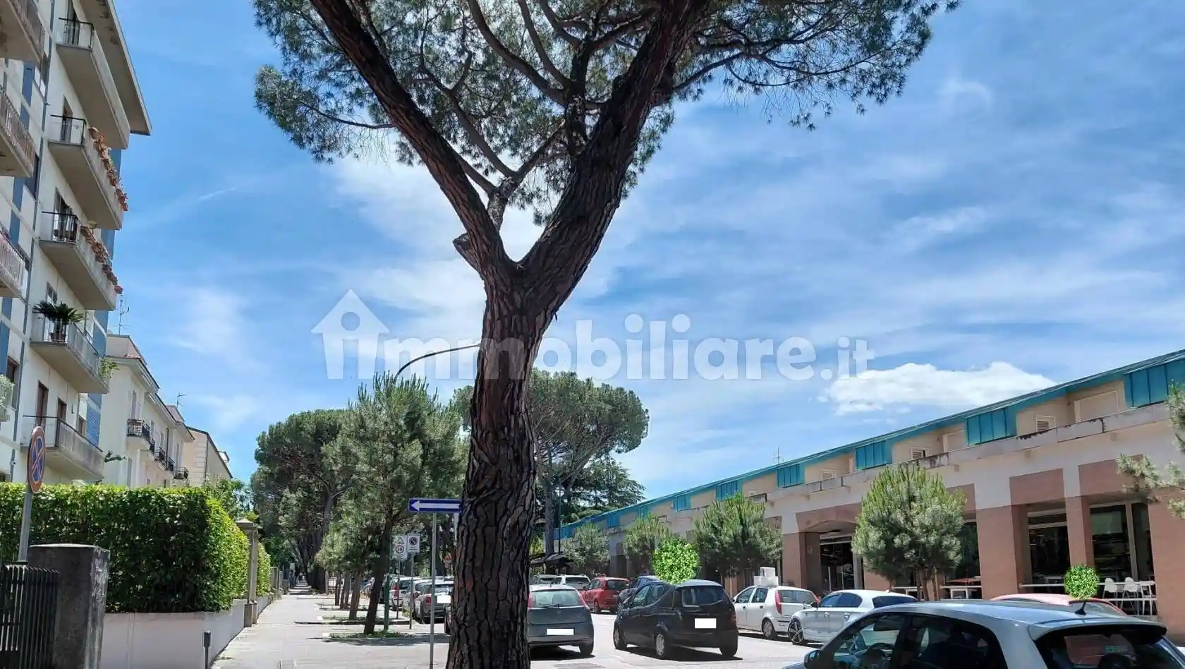 Appartamento in affitto a Benevento