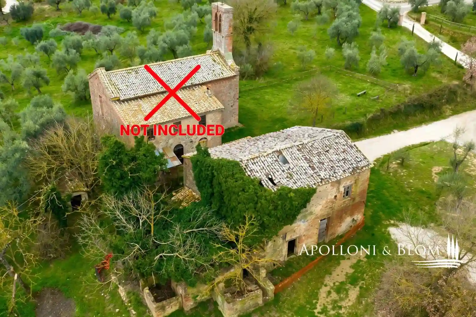 Rustico - Casale - foto 3