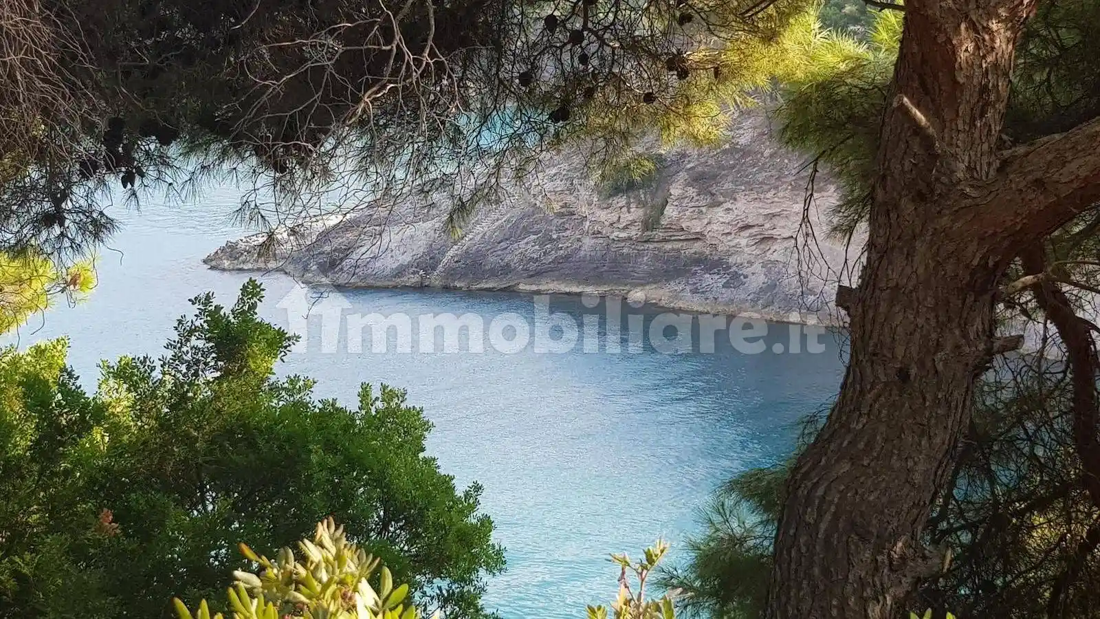 Appartamento in vendita a Vieste