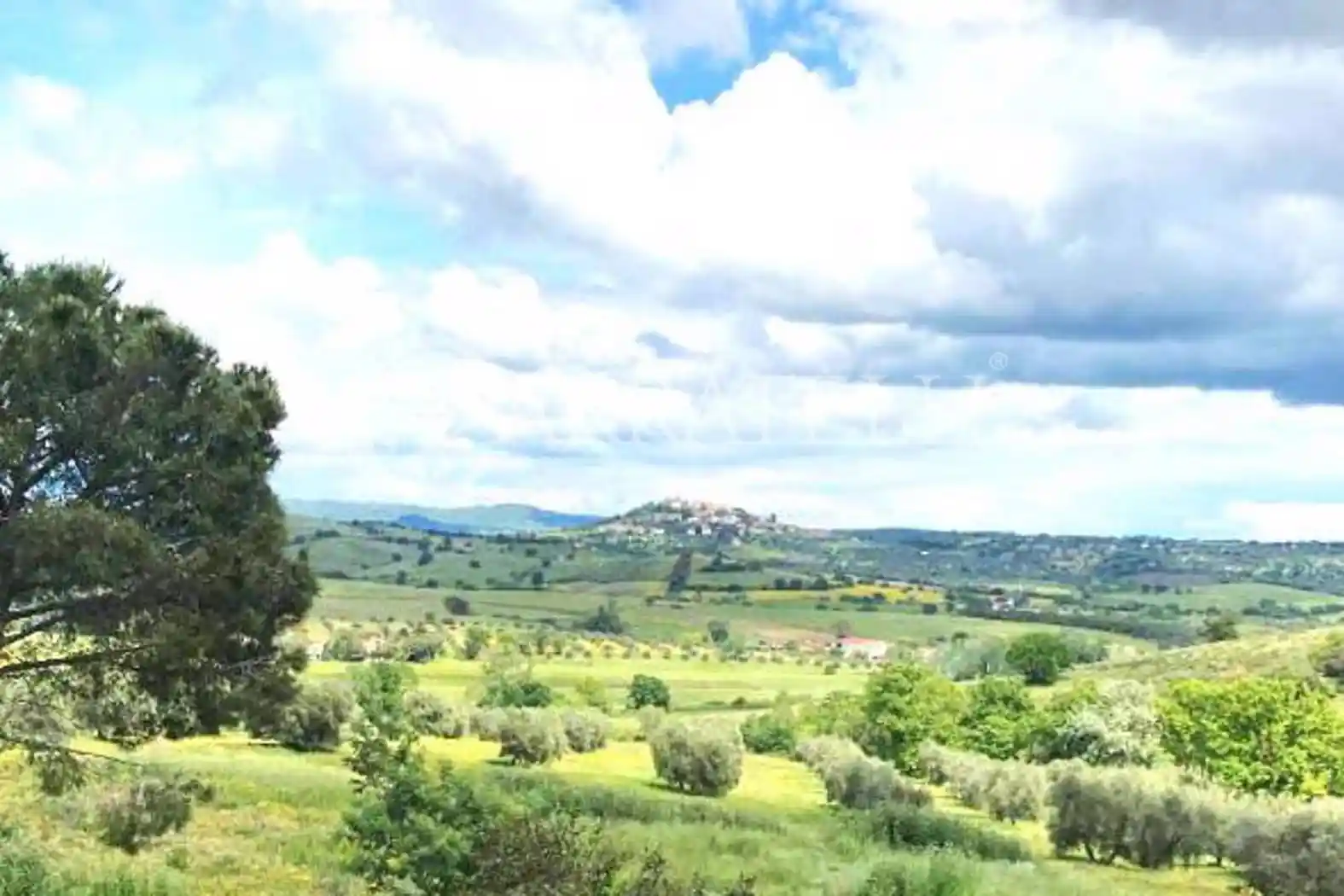 Rustico - Casale in vendita a Magliano in Toscana