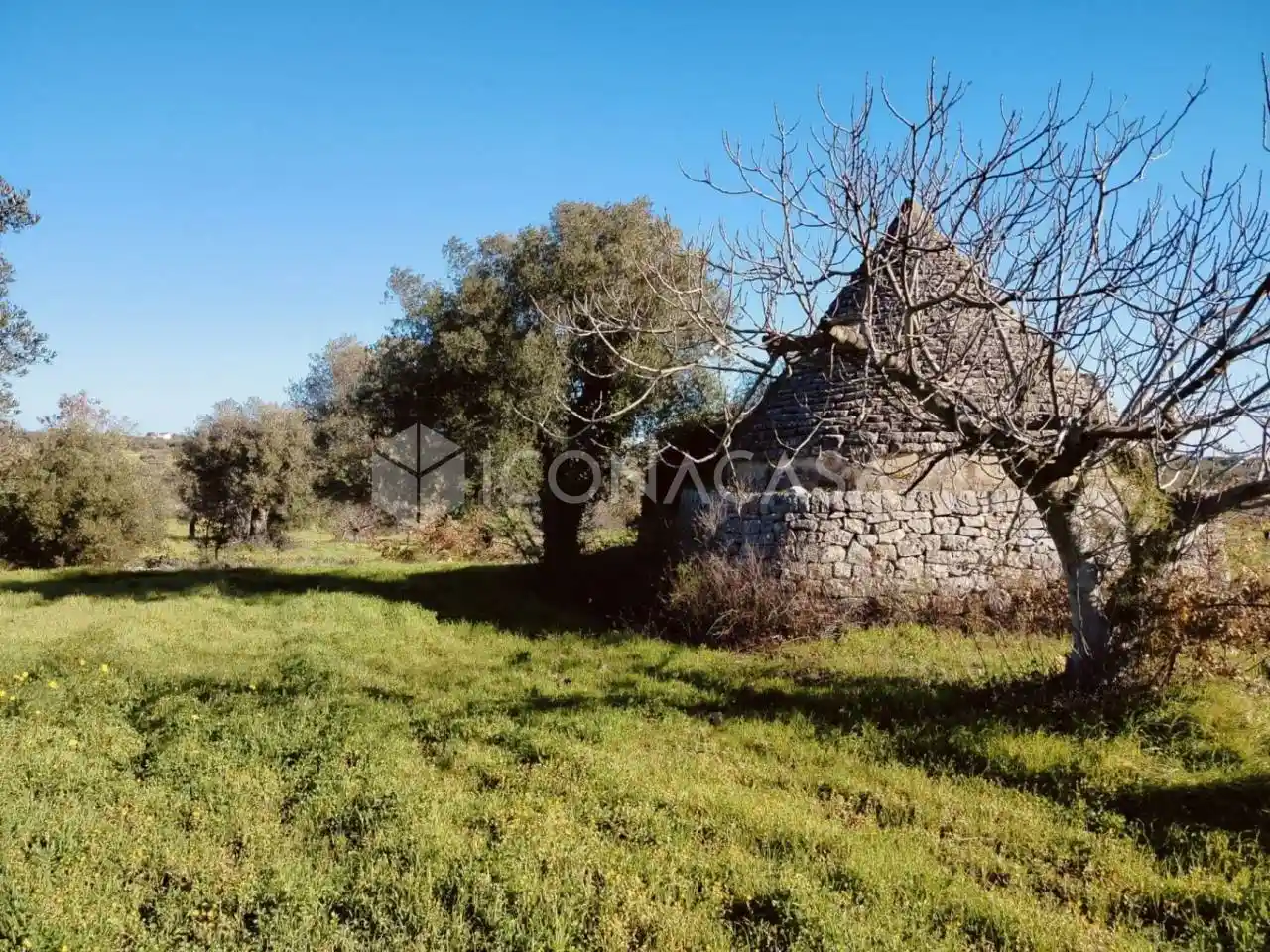 Rustico - Casale in vendita a Conversano