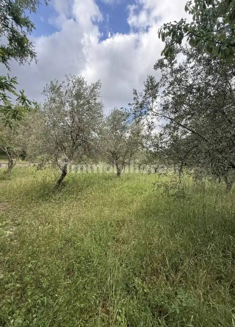 Villa in vendita a Montemarano