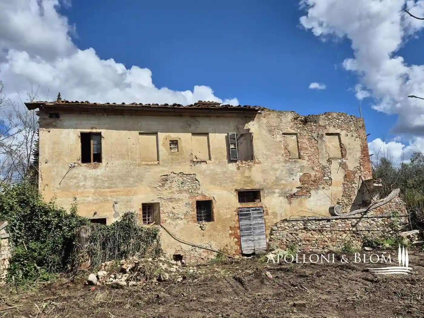 Rustico - Casale - foto 4
