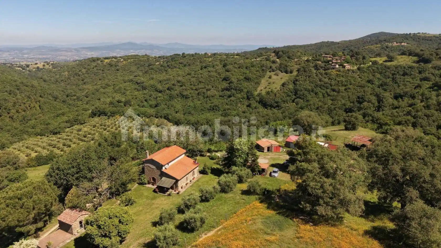 Rustico - Casale in vendita a Scansano
