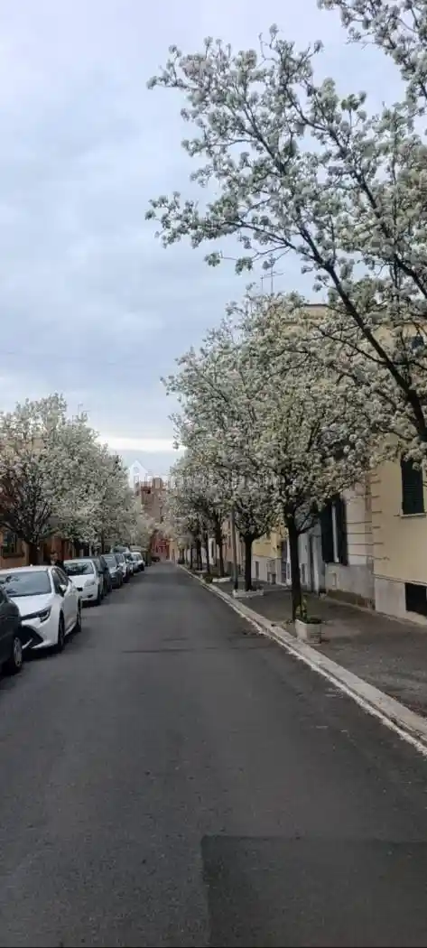 Villa in affitto a Roma