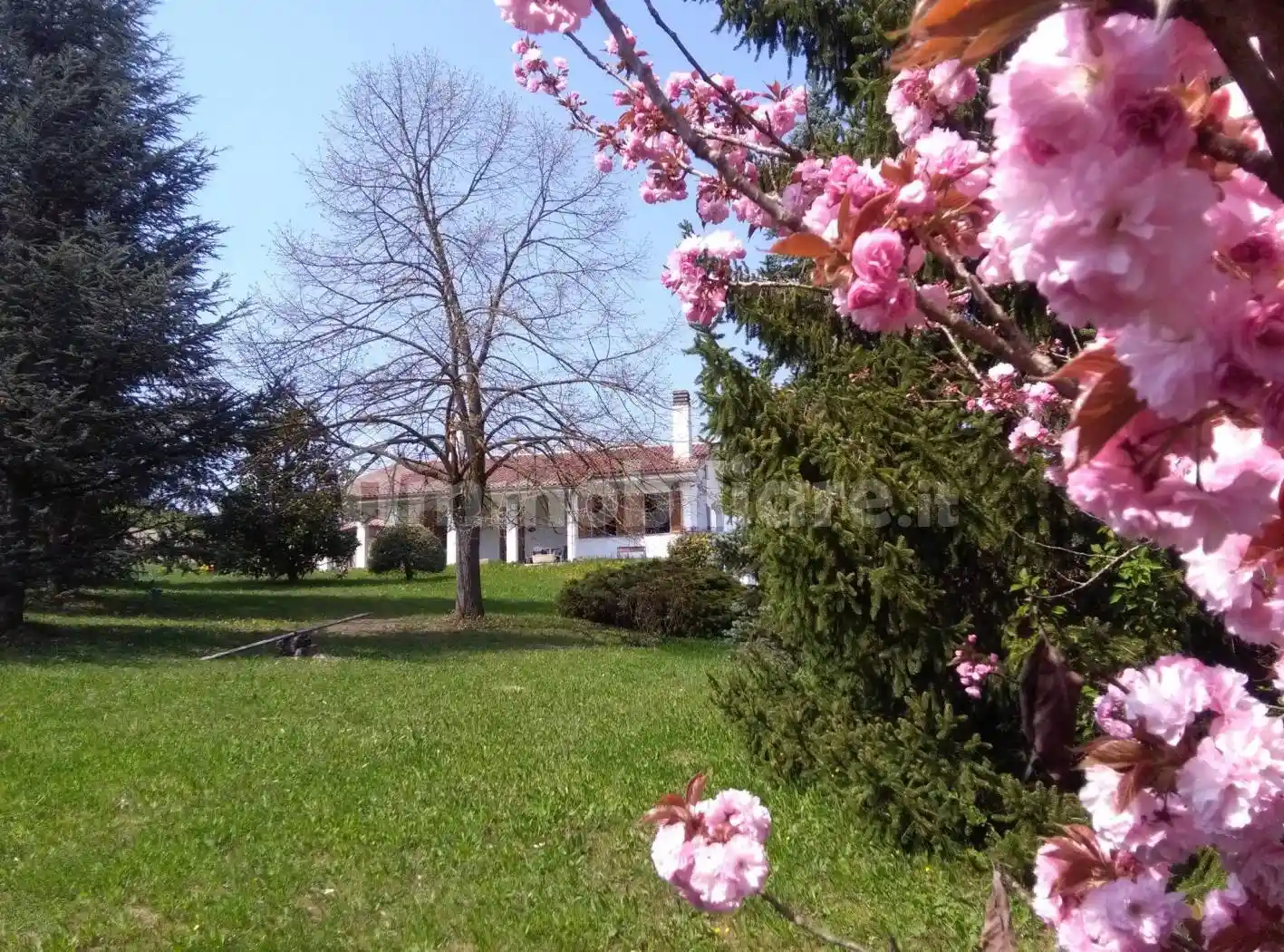 Villa in vendita a Antignano