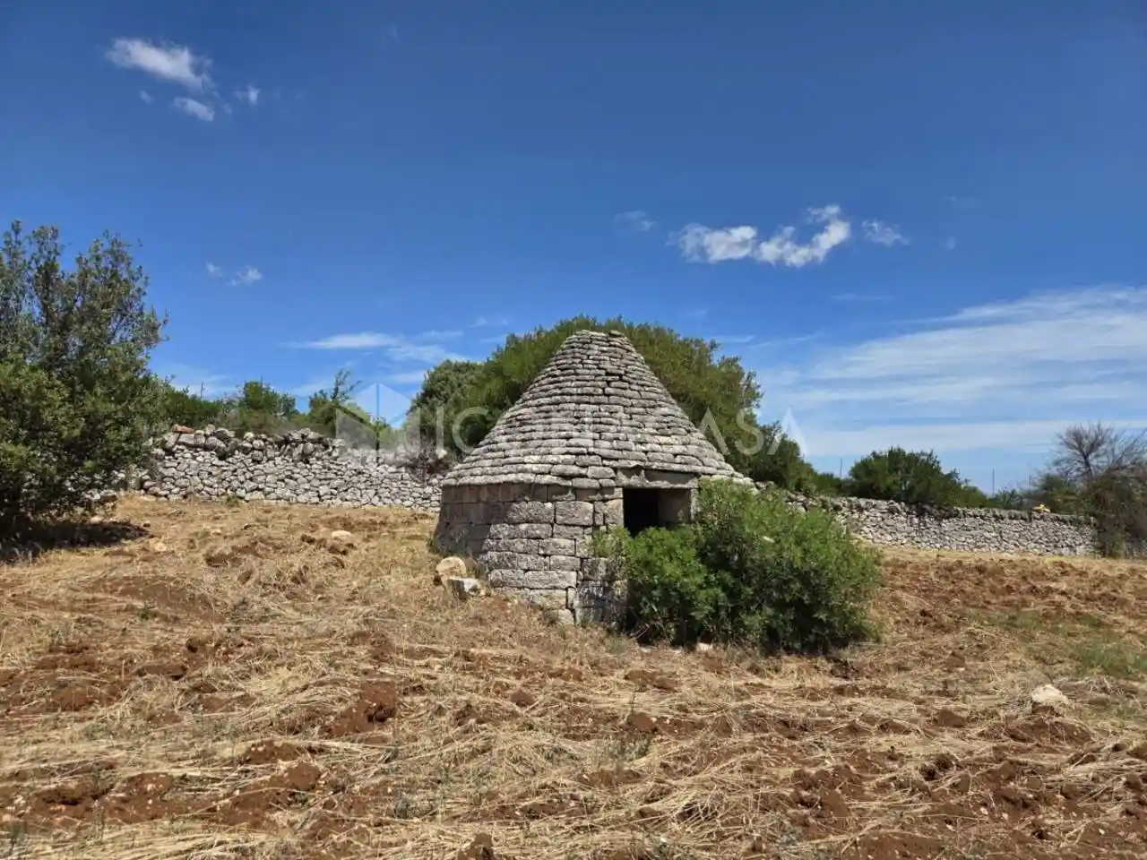Rustico - Casale in vendita a Cisternino