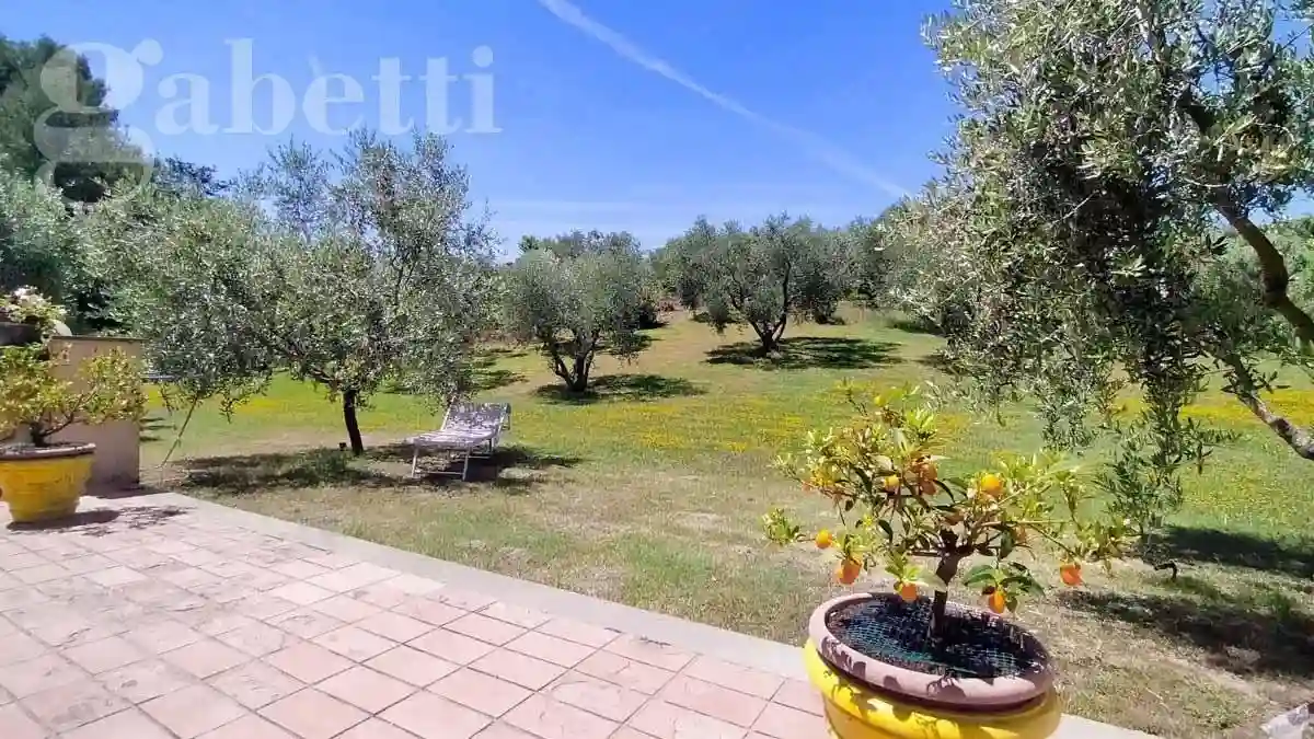Villa - foto 4