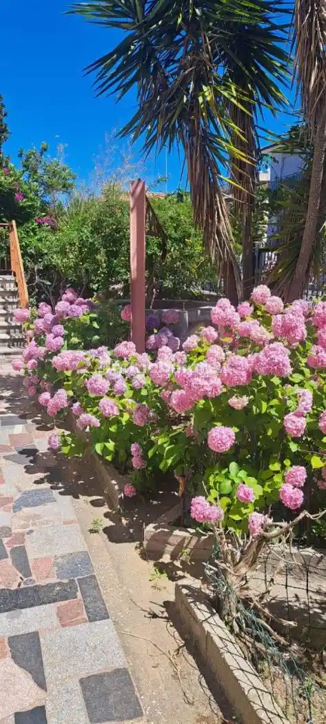 Casa indipendente in vendita a Collesalvetti