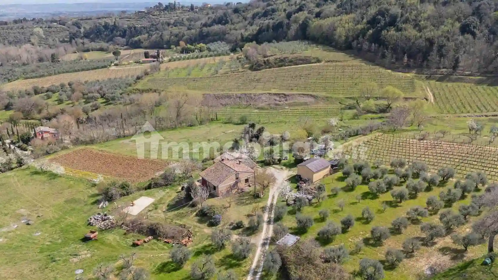 Rustico - Casale - foto 2
