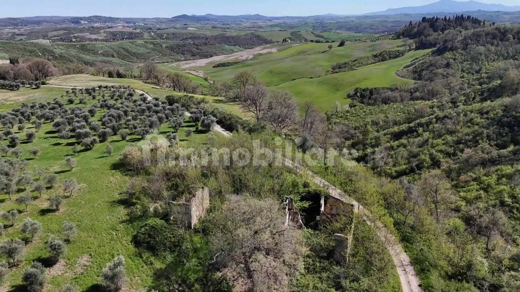 Rustico - Casale in vendita a Asciano