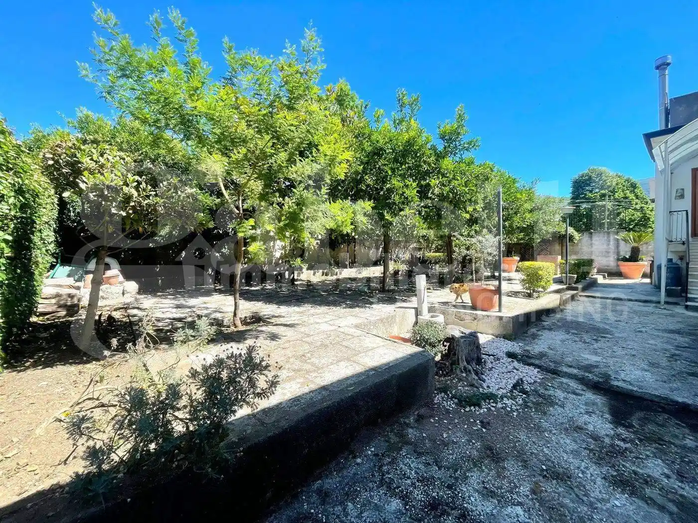Appartamento in vendita a Piedimonte Matese