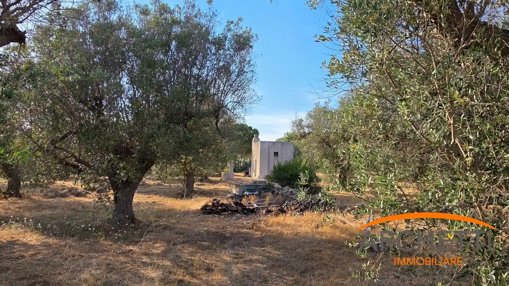 Rustico - Casale in vendita a Matino
