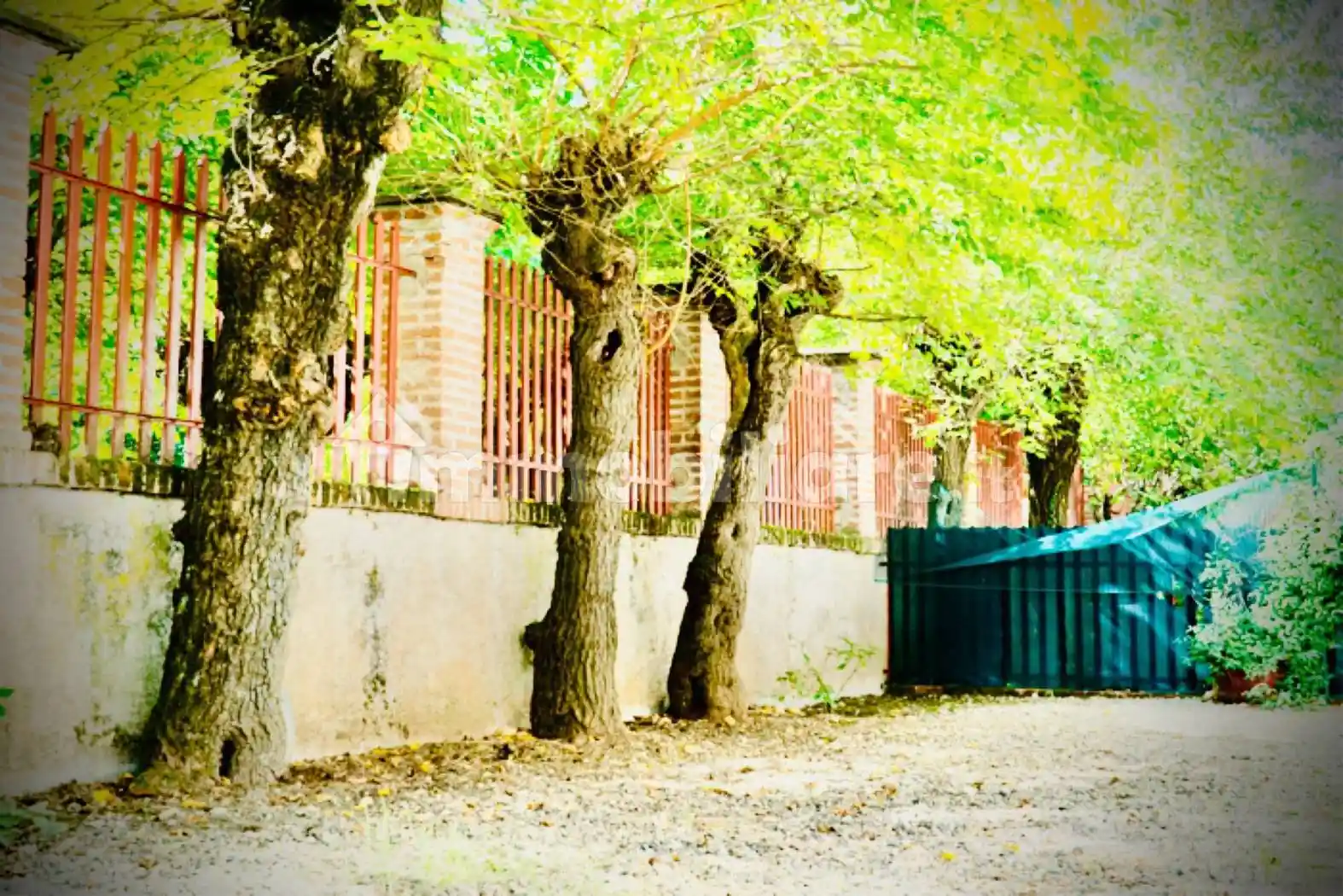 Villetta a schiera in vendita a Cuneo