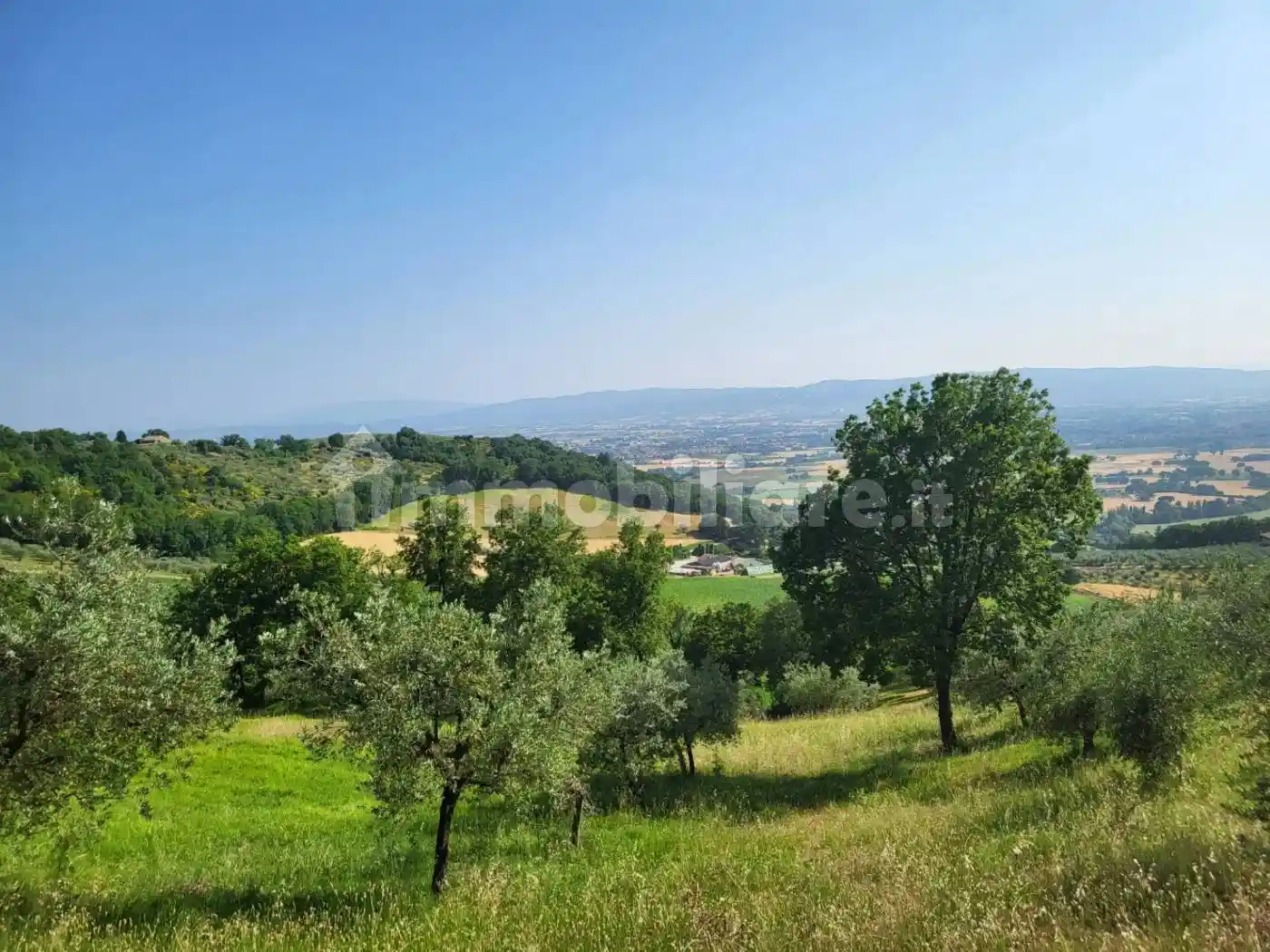 Rustico - Casale in vendita a Assisi
