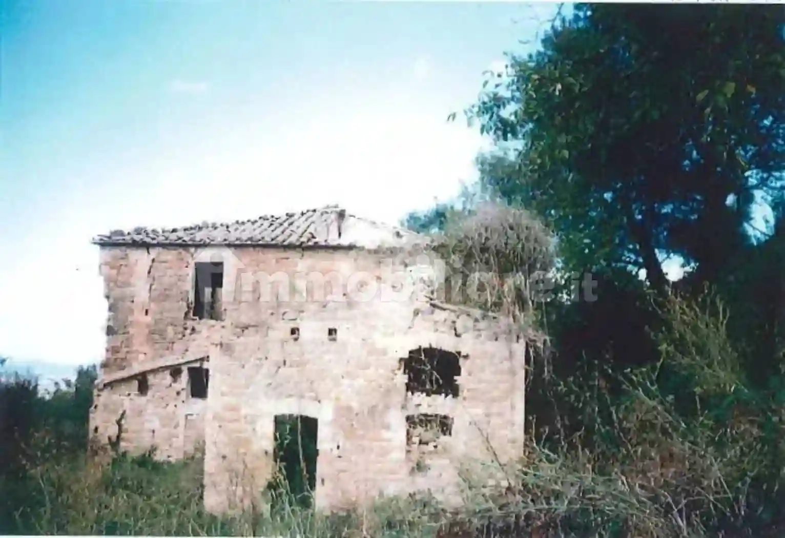 Rustico - Casale - foto 3